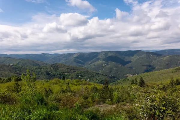 Karpat Dağları 'nın manzarası