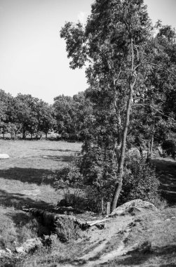 Yazın Almanca renkleri