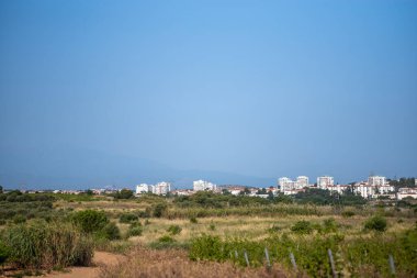 Şehre ve dağlara bakın.