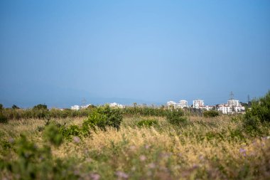 Bir ağacı ve dağların arkasında küçük bir evi olan güzel bir manzara.