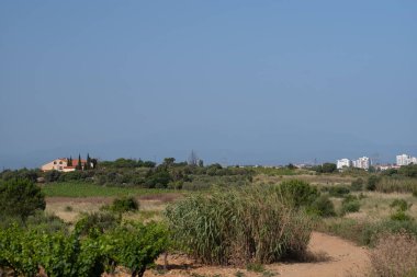 Barselona şehrinin manzarası