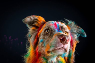 Bir köpeğin portresi..