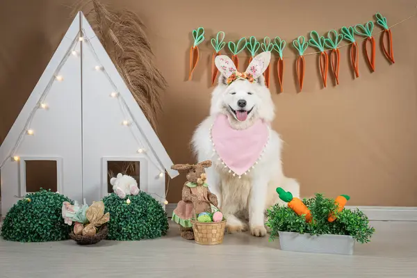 Paskalya tatili. Paskalya tavşanı ve köpek.