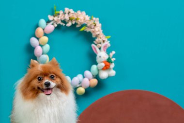 Mutlu Paskalyalar. Yumurtalı Paskalya tavşanı ve sepette paskalya yumurtası.