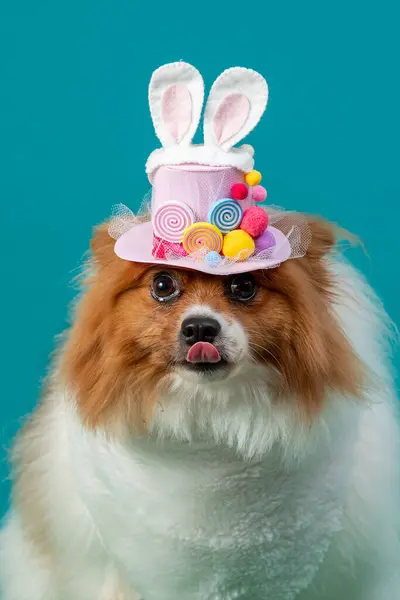 Paskalya yumurtalarının içinde şirin bir köpek