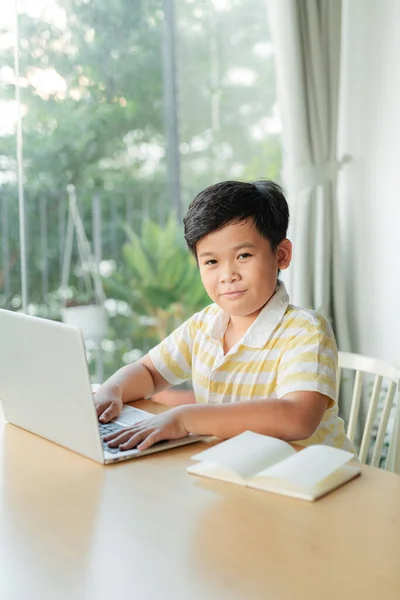 Boy student study online with video call teacher.