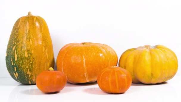 Two Small Orange Pumpkins Rotate Axis Next Three Large Pumpkins — Stock Video