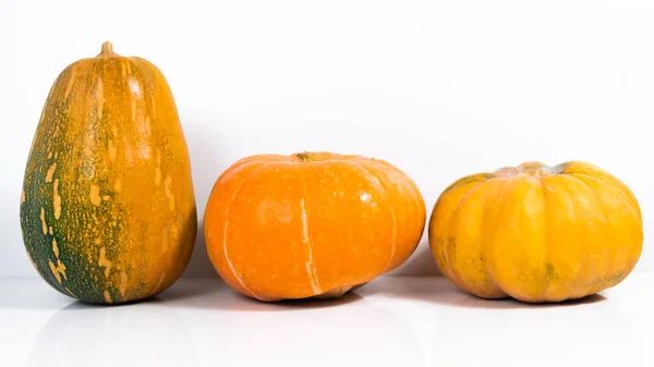 Group Beautiful Pumpkins Isolated White Background Concept Autumn Fruits Thanksgiving Royalty Free Stock Photos