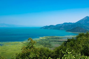 Manzaralı Bakış açısı. Yeşil ve mavi suları, dağları olan Skadar Gölü 'nün güzel yaz manzarası. Gökyüzü açık. Karadağ. Seyahat kavramı.