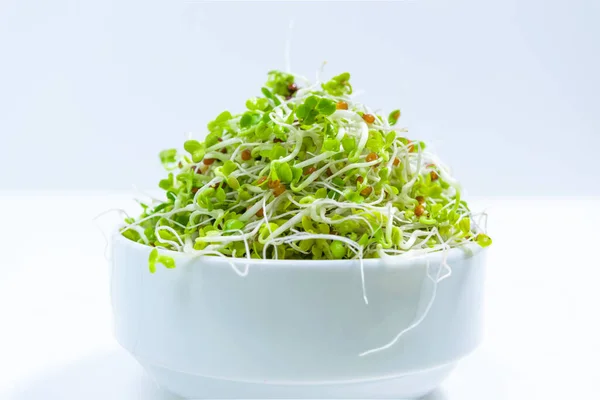 Brotes Rábano Verde Joven Microverdes Con Raíces Cultivados Para Comida —  Fotos de Stock