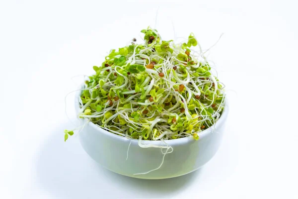 Junger Grüner Rettich Mikrogrüner Sprossen Mit Wurzeln Die Als Nahrung Stockbild