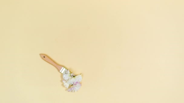 Brush Tekent Een Rond Frame Van Witte Bloemenkoppen Met Chrysant — Stockvideo