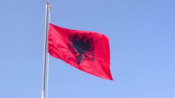 Αλβανική Σημαία Κυματίζει Έναν Ουρανό Χωρίς Σύννεφα Αλβανία Κλείσε — Αρχείο Βίντεο