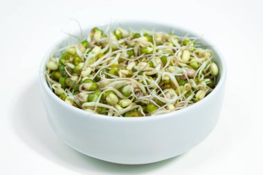 Bowl of sprouted mung beans (Vigna radiata) with small roots for eating. White background. Close up. Concept of diet, vegetarianism, vegan, healthy products and proper nutrition. Copy space.