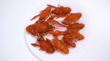 Group of boiled red crayfish are laid out on a plate. White background. Catching crayfish for human consumption.