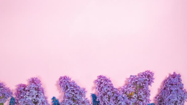 4K春のグリーティングカード ライラックや野生のヒヤシンスの開花枝がピンクの背景に現れます 小さなライラックの花は単語春を形成します 春休みのコンセプト 動くなよ — ストック動画