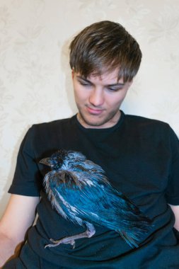 Gri bir karga yavrusu beyaz bir gencin elinde oturuyor. Evcil hayvan ve hayvan bakımı kavramı. Evde..