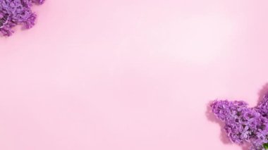 4k Flowering lilac branches appear in opposite corners. Light pink background with copy space in center. Concept of springtime and spring holidays. Template design or text. Stop motion animation.