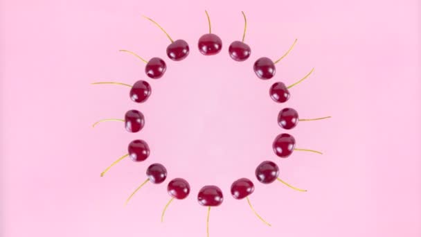 Ripe Cherries Arranged Circle Turn Petioles Pink Background Concept Berries — Vídeos de Stock