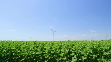 Windmill or wind turbine close up on field of green sunflowers and blue sky background. Summer sunny day. Agricultural landscape.