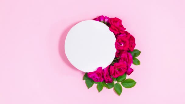 Semicerchio Boccioli Rosa Rossa Naturale Appaiono Vicino Cerchio Bianco Modello — Video Stock