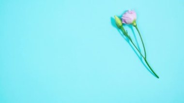 Mavi arka planda doğal çiçekler belirir ve buket oluştururlar. Yanında beyaz bir zarf var. Doğum günü kartı, anne, kadınlar günü ya da başka bir etkinlik için tebrik kartı. Hareket animasyonunu durdur. Boşluğu kopyala.