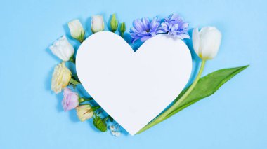 Beyaz kağıt kalbin yanında doğal beyaz ve mavi-mor çiçekler. Doğum günü kartı, anneler günü, kadınlar günü ya da başka bir gün için tebrik kartı. Uzayı kopyala Düz Yat.
