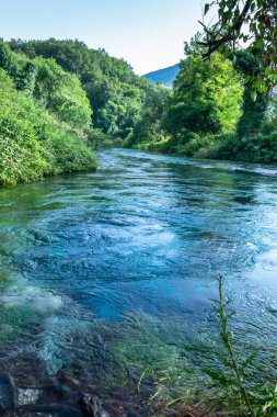 Yerden fışkıran eşsiz karst kaynağı Mavi Göz ya da Suriye Kalter. Arnavutluk 'un Muzine kasabasında doğal bir olay meydana geldi. Çerçevelenmiş yeşil ağaçlar.