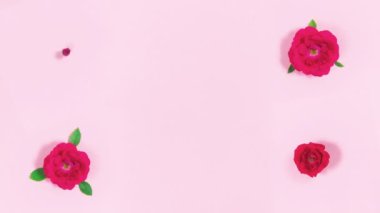 Dört tomurcuk kırmızı gülün 4k deseni. Çiçek kafalar görünür ve açılır. Döngülü hareket. Uzayı kopyala Düz yatıyordu. Açık pembe arka plan. Hareket animasyonunu durdur. Tebrik kartı. Metin ve tasarım için şablon.
