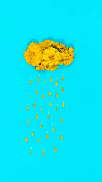 Petal Rain Falls Natural Tagetes Flower Cloud Kartu Bunga Alam — Stok Foto