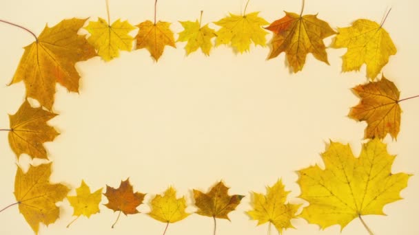 自然な黄色と茶色の秋のカエデの葉はベージュの背景にフレームを形成します 秋のコンセプトから来ている テキストやデザインのテンプレート 宇宙のコピー 平置きだ ストップモーションアニメーション — ストック動画