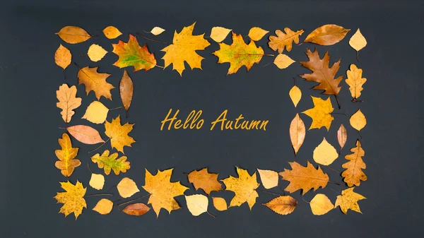 Olá Autumn Cartão Felicitações Quadro Retangular Belo Outono Amarelo Marrom — Fotografia de Stock