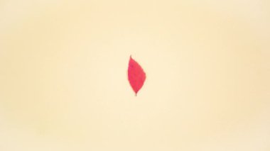 Farklı renklerde ve farklı ağaçlardan oluşan güzel sonbahar yaprakları şekillerini ve renklerini değiştirir. Birbiri ardına hızla yanıp sönüyor. Minimum sonbahar konsepti. Sonbahar geliyor. Hareketi durdur.