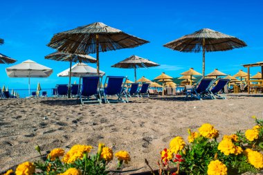 Becici, Karadağ - 02 Temmuz 2021: Güneşli yaz sabahında halka açık kumlu plajlarda güneş pansiyonları ve şemsiyeler. Ön planda çiçekler var. Mavi gökyüzü. Budva Riviera. Deniz kenarı tatil köyü sezonu.
