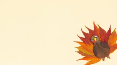 4k Başvuru Sonbahar hindisi. Kırmızı sonbahar yapraklarından yapılmış. Şükran Günü konsepti Türkiye farklı yerlerde ortaya çıkıyor. Açık sarı arkaplan. Hareket animasyonunu durdur. Düz yatıyordu. Boşluğu kopyala.