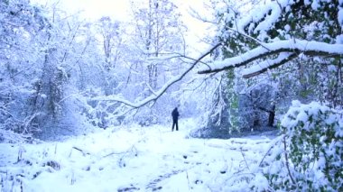Karlı bir parkta yürüyen bir adamın silueti. Karlı bir parkın kış manzarası. Çalıların ve ağaçların dalları beyaz kar tabakasıyla kaplıdır. İlk kar yağışı. Beklenmedik hava sürprizleri.