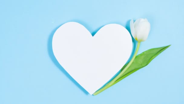 Flor Tulipa Branca Natural Aparece Lado Coração Papel Branco Cartão — Vídeo de Stock