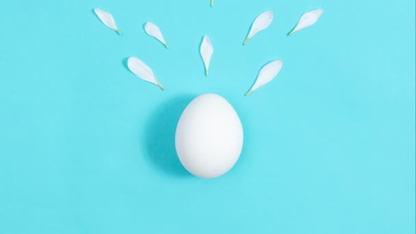 White Chicken Egg Breaks Natural White Chrysanthemum Flowers Emerge Creative — Stock video