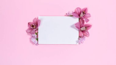 Beyaz dikdörtgen arka plan doğal orkideler ve kasımpatı çiçekleri ile süslenmiştir. Pembe arka plan. Metin ya da tasarım için şablon. Anneler ya da Kadınlar Günü tatili, düğün ve diğer etkinlikler. 