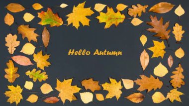 Hello Autumn. Greeting card. Rectangular frame of beautiful autumn yellow and brown maple, oak and birch leaves. Black background. Stop motion animation. Flat lay. Copy space.