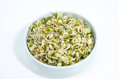 Bowl of sprouted mung beans (Vigna radiata) with small roots for eating. White background. Close up. Concept of diet, vegetarianism, vegan, healthy products and proper nutrition. Copy space.