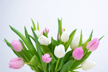 Taze beyaz ve mor lalelerden oluşan buket kapanıyor. Tebrik kartı. Aşk kavramı, kadınlık, zarafet ya da ilkbaharın gelişi, ayrıca romantik çay partisi. Boşluğu kopyala.