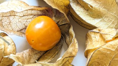Olgun sarı physalis meyve meyvesi ya da Physalis Peruviana, yenilebilir fizsalis türü. Küçük altın böğürtlenler. Vejetaryen yemeği. Sağlıklı bir yaşam tarzı deneyimi. Beyaz arkaplan.