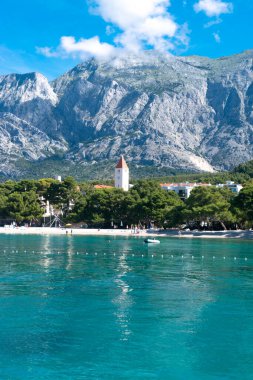 Yaz mevsiminde sakin Adriyatik Denizi. Güneşli bir sabahta temiz küçük çakıl taşı plajı. Promajna, Hırvatistan. Adriyatik Denizi kıyısında muhteşem çam ağaçları yetişir. Tatil konumu.