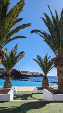 Yüzme havuzu ve sakin Atlantik Okyanusu 'nun arka planında güzel bakımlı palmiye ağaçları. Tropik bir manzara. Rahatlama, seyahat ve tatil için ideal bir yer. Kanarya Adaları.