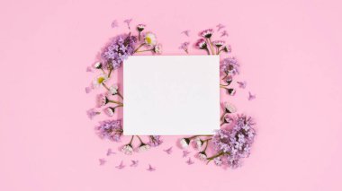 Beyaz kağıda yakın doğal dallar ve leylak çiçekleri. Bahar geliyor. Leylak arkaplan. Metin ya da tasarım için şablon. Tebrik kartı. Uzayı kopyala Düz Yat.