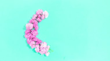 Doğal pembe ve beyaz sakura çiçeklerinin yuvarlak çerçevesi. Turkuaz arka plan. Ortasında kopya alanı olan güzel bir çerçeve. Anneler Günü için tebrik kartı şablonu, düğün, doğum günü ya da bahar gelişi.