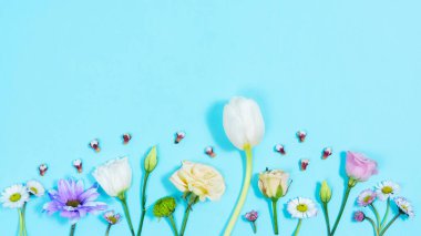 Açık mavi arka planda çeşitli çiçek ve tomurcuklar. Kutlama kartı, anneler günü için şablon, düğün, doğum günü veya bahar gelişi veya başka bir olay. Hareket animasyonunu durdur. Uzayı kopyala Düz Yat.