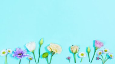 Açık mavi arka planda çeşitli çiçek ve tomurcuklar. Kutlama kartı, anneler günü için şablon, düğün, doğum günü veya bahar gelişi veya başka bir olay. Hareket animasyonunu durdur. Uzayı kopyala Düz Yat.
