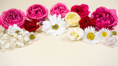 Doğal kırmızı ve beyaz çiçek tomurcukları bej renkli pastel arka planda. Bayram kartı. Metin ya da tasarım için şablon. Boşluğu kopyala.